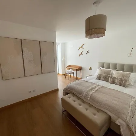 Figueira Centro By Rent4all Apartamento